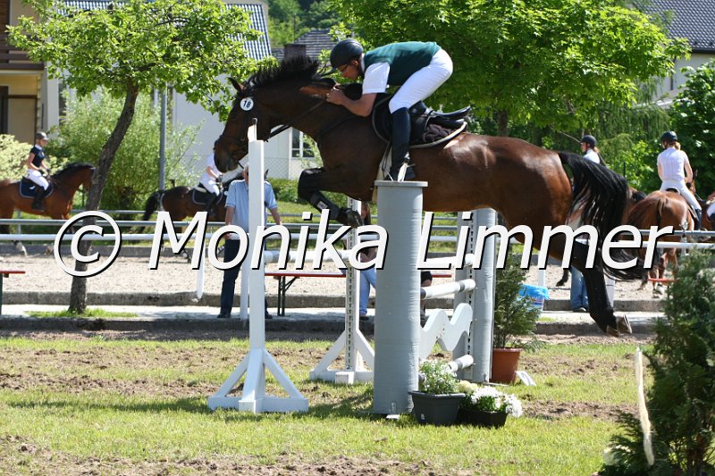 204M5521_Araquita T_Spring_L.JPG